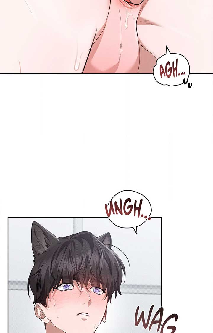 Don’t Mess With the Puppy! Chapter 41 - Page 45