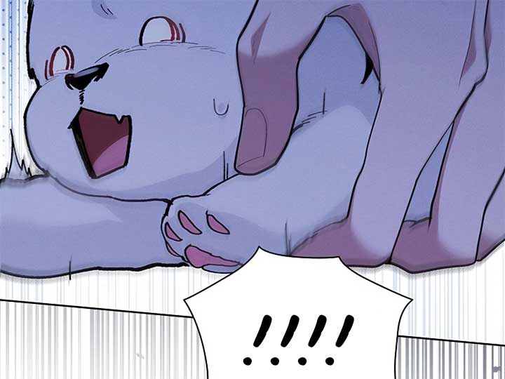 Don’t Mess With the Puppy! Chapter 7 - Page 156