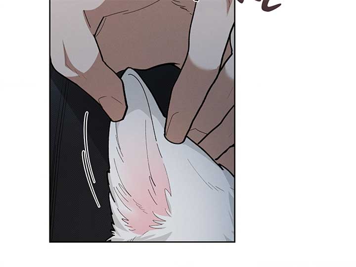 Don’t Mess With the Puppy! Chapter 7 - Page 202