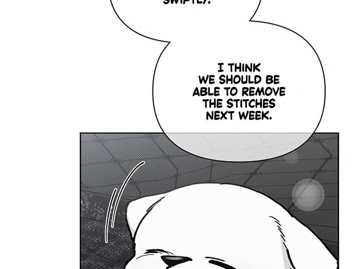 Don’t Mess With the Puppy! Chapter 7 - Page 44