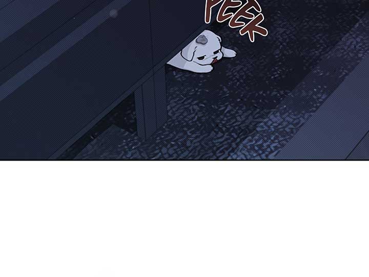 Don’t Mess With the Puppy! Chapter 9 - Page 63