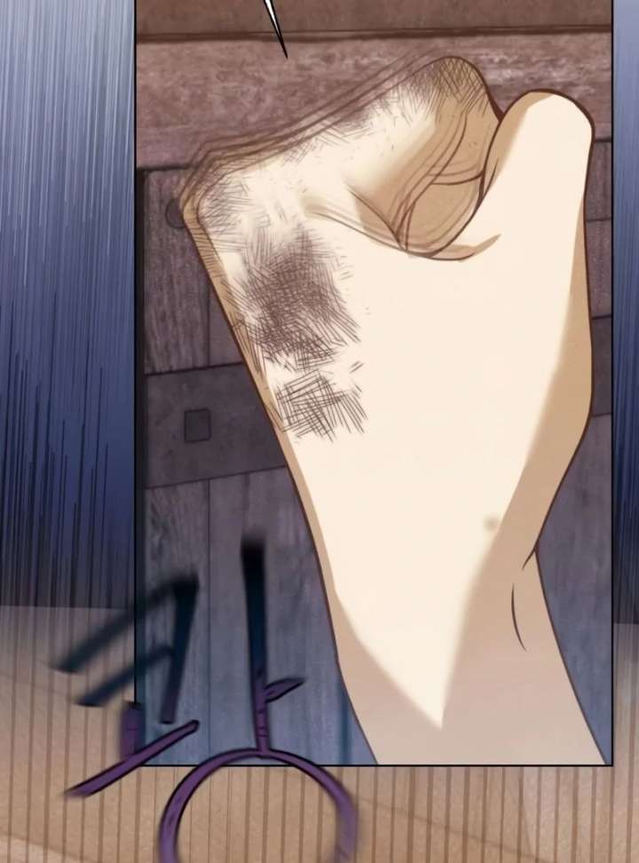 Duchess Mecklen’s Elegant Rebellion Chapter 45 - Page 4