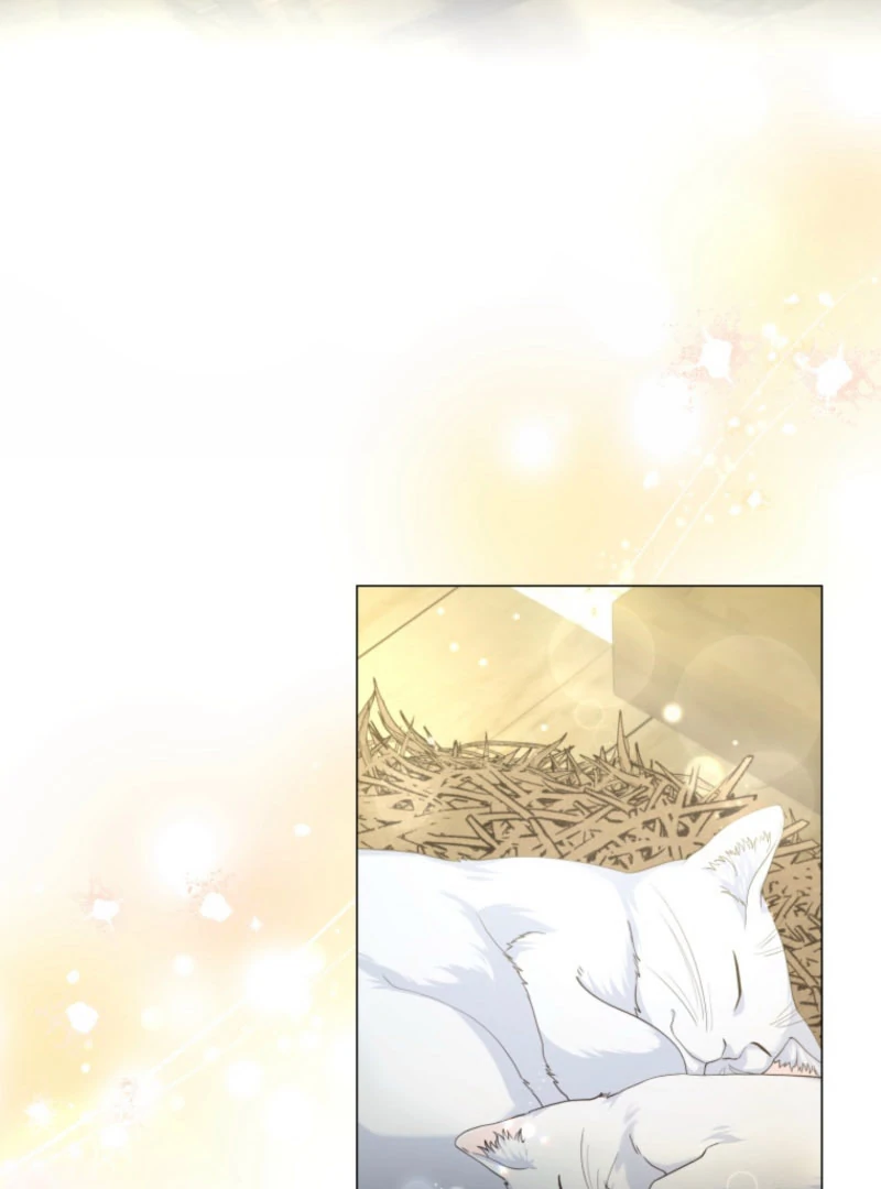 The Saint Who Wishes for Death Makes a Pact with the Cursed Prince Chapter 25 - Page 3