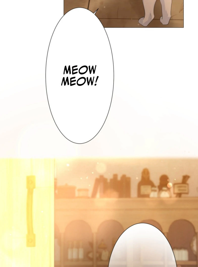 The Saint Who Wishes for Death Makes a Pact with the Cursed Prince Chapter 25 - Page 63