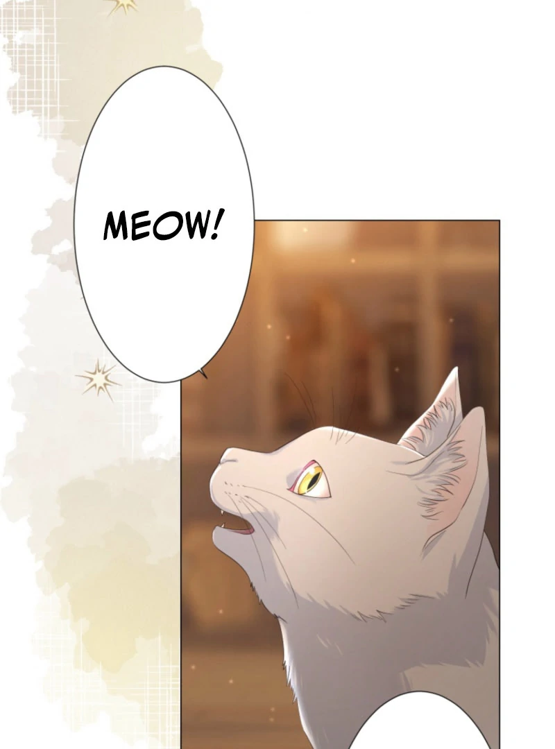 The Saint Who Wishes for Death Makes a Pact with the Cursed Prince Chapter 25 - Page 65