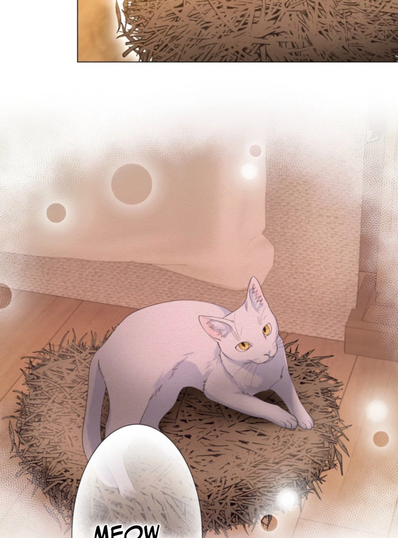 The Saint Who Wishes for Death Makes a Pact with the Cursed Prince Chapter 25 - Page 68