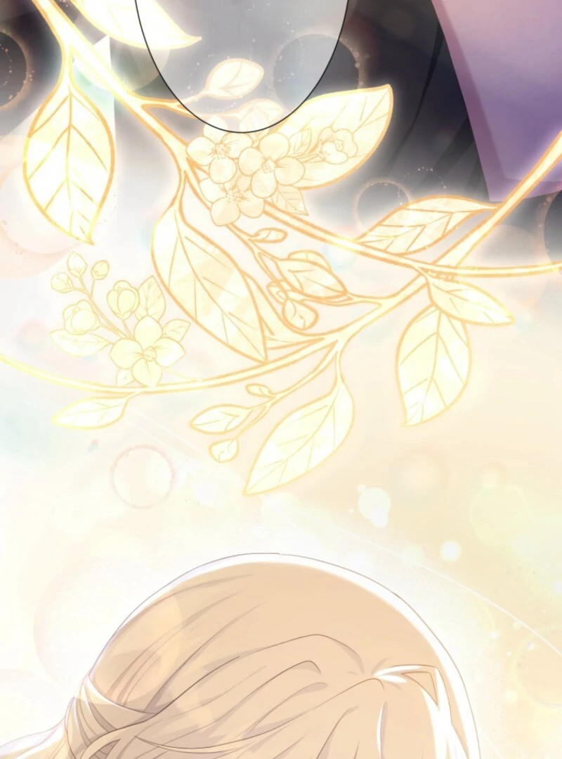 The Saint Who Wishes for Death Makes a Pact with the Cursed Prince Chapter 8 - Page 80