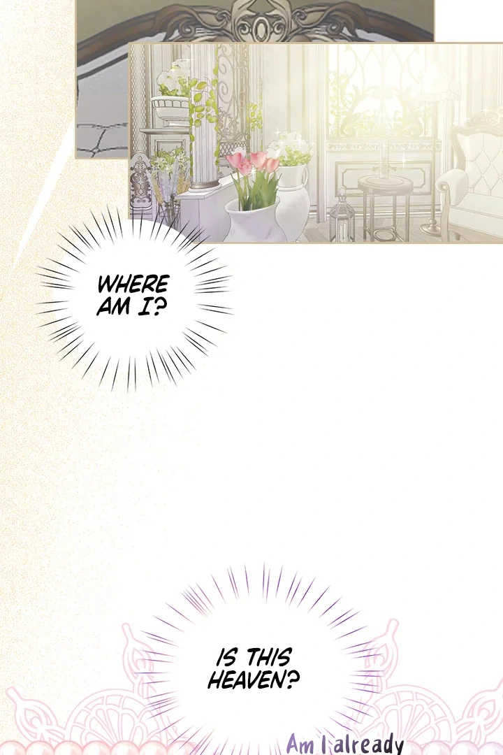 My Destiny, It’s Time to Get It Back Chapter 31 - Page 22