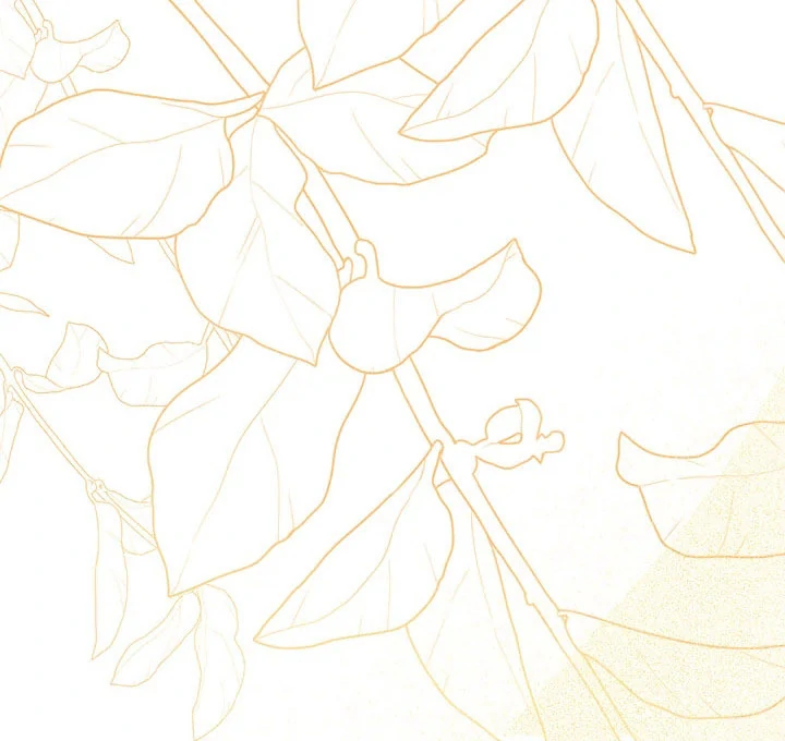 My Destiny, It’s Time to Get It Back Chapter 36 - Page 11