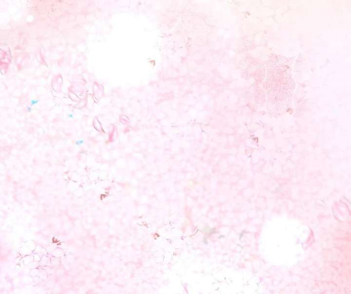 I Won’t Regret My Second Life, The Happy Ending Comes After Revenge Chapter 23 - Page 118