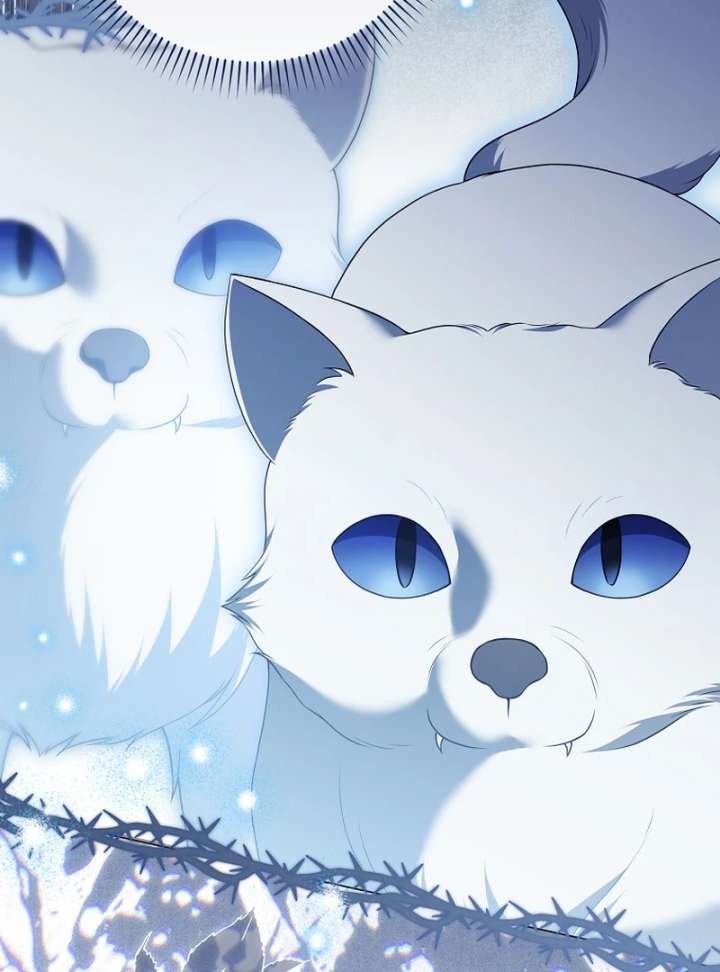 Marry or Die Chapter 26 - Page 17