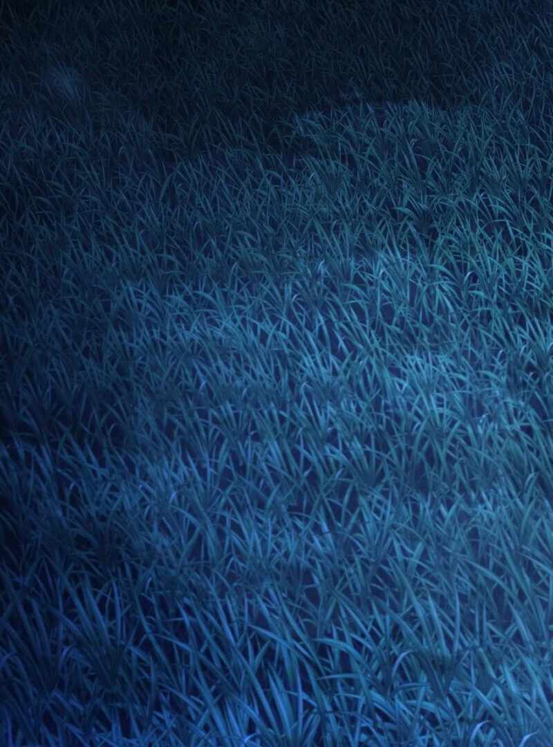 Half Blood Chapter 20 - Page 62