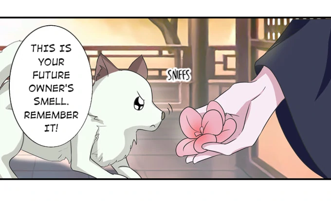 How to Raise a Cross-Dressing Master Chapter 41 - Page 11