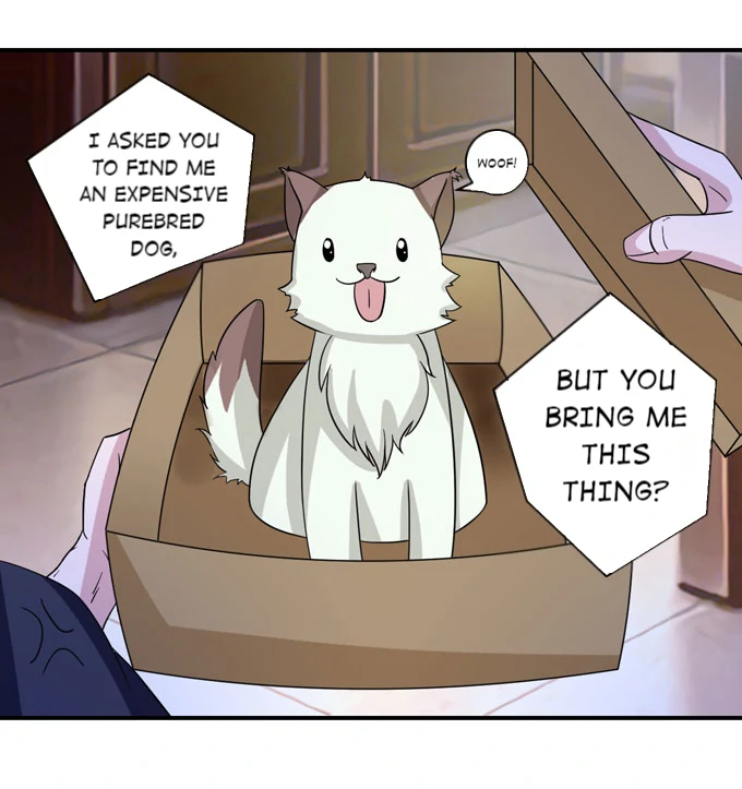 How to Raise a Cross-Dressing Master Chapter 41 - Page 3