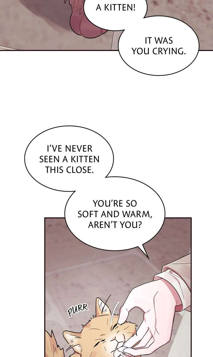 The House of Blind Sheep (Official) Chapter 13 - Page 11