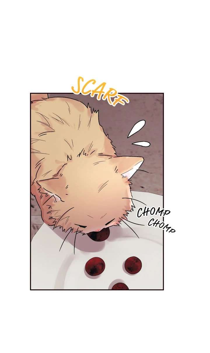 The House of Blind Sheep (Official) Chapter 13 - Page 18