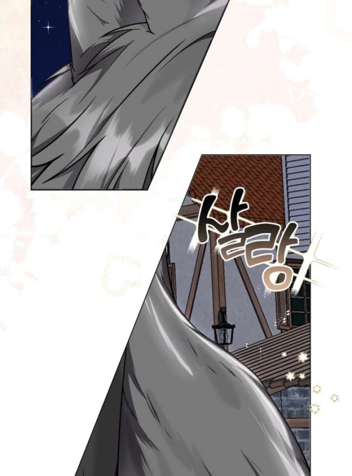 I Opened an Illegal Veterinary Clinic in Another World Chapter 1 - Page 17