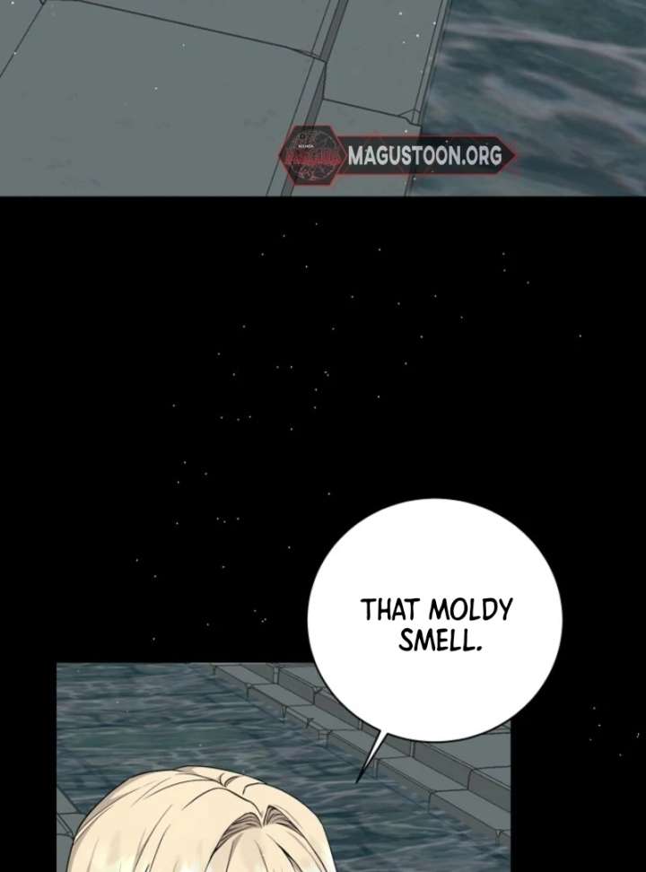 I Opened an Illegal Veterinary Clinic in Another World Chapter 1 - Page 35