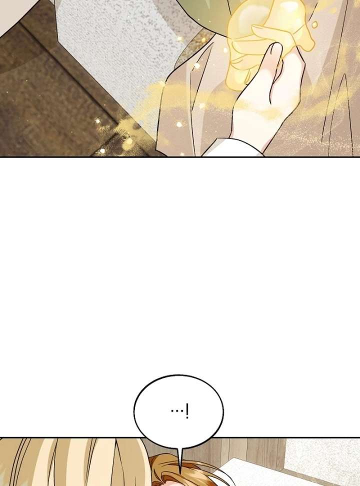 I Opened an Illegal Veterinary Clinic in Another World Chapter 16 - Page 90