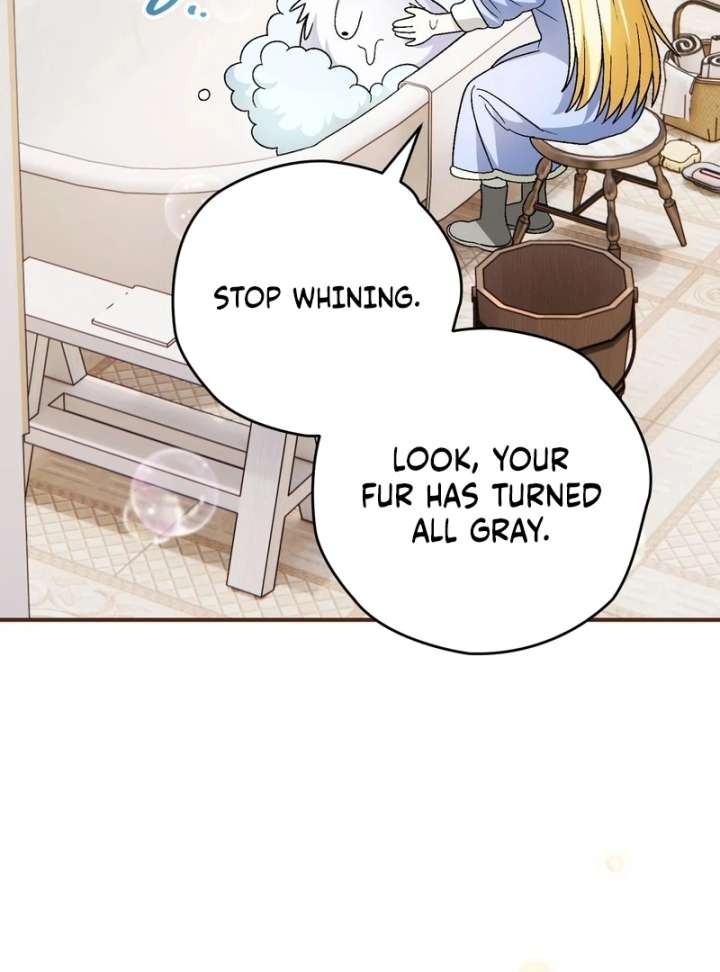 I Opened an Illegal Veterinary Clinic in Another World Chapter 18 - Page 127