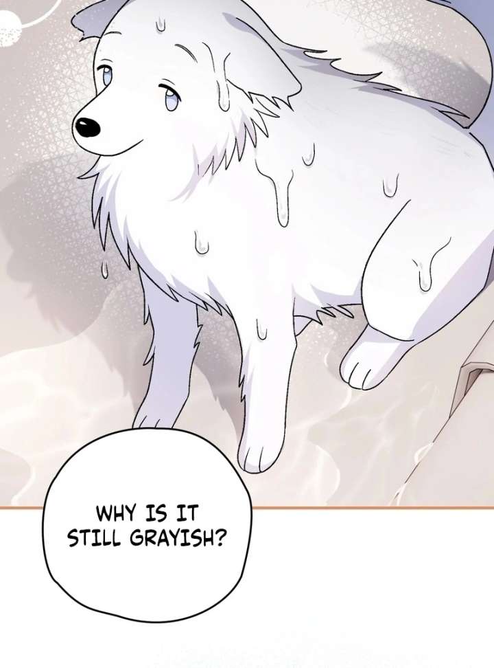 I Opened an Illegal Veterinary Clinic in Another World Chapter 18 - Page 133