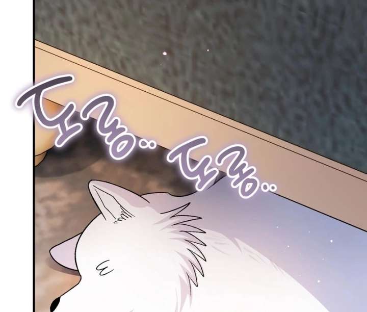 I Opened an Illegal Veterinary Clinic in Another World Chapter 18 - Page 138