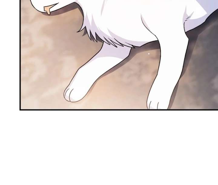 I Opened an Illegal Veterinary Clinic in Another World Chapter 18 - Page 139