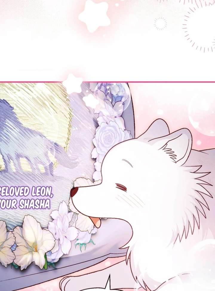 I Opened an Illegal Veterinary Clinic in Another World Chapter 18 - Page 158