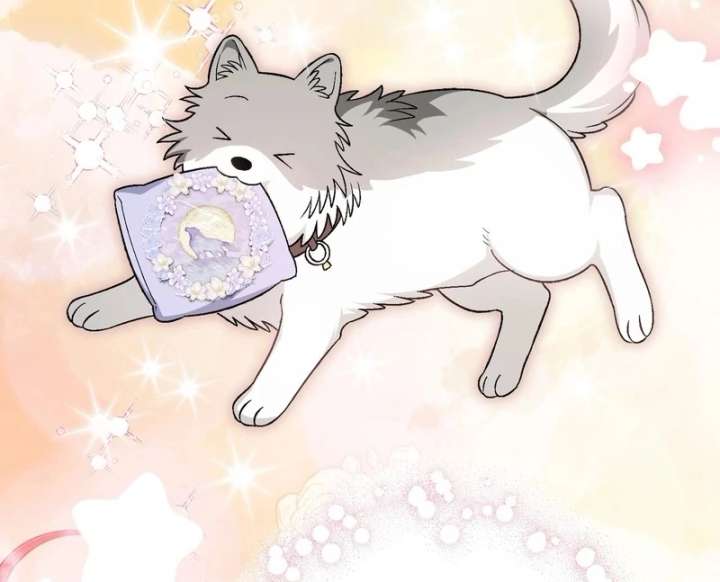 I Opened an Illegal Veterinary Clinic in Another World Chapter 19 - Page 149