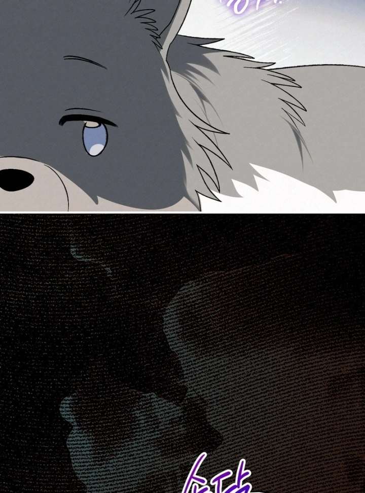 I Opened an Illegal Veterinary Clinic in Another World Chapter 19 - Page 170