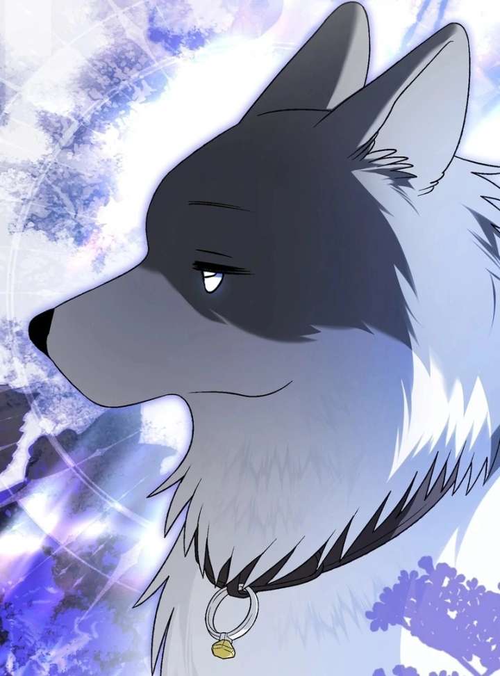 I Opened an Illegal Veterinary Clinic in Another World Chapter 19 - Page 178