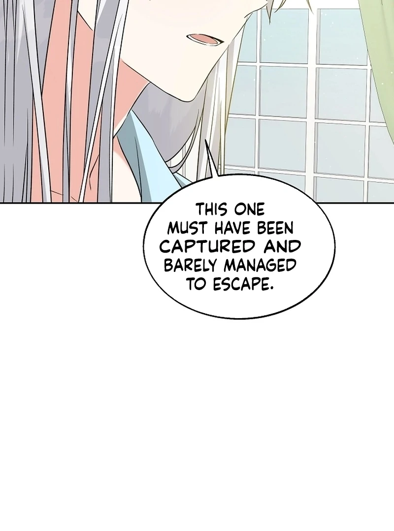 I Opened an Illegal Veterinary Clinic in Another World Chapter 21 - Page 96