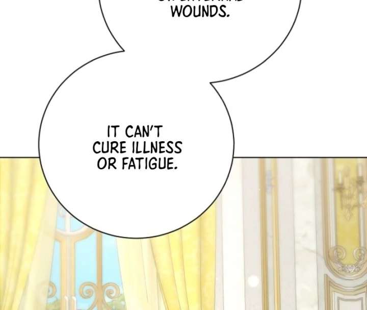 I Opened an Illegal Veterinary Clinic in Another World Chapter 3 - Page 77
