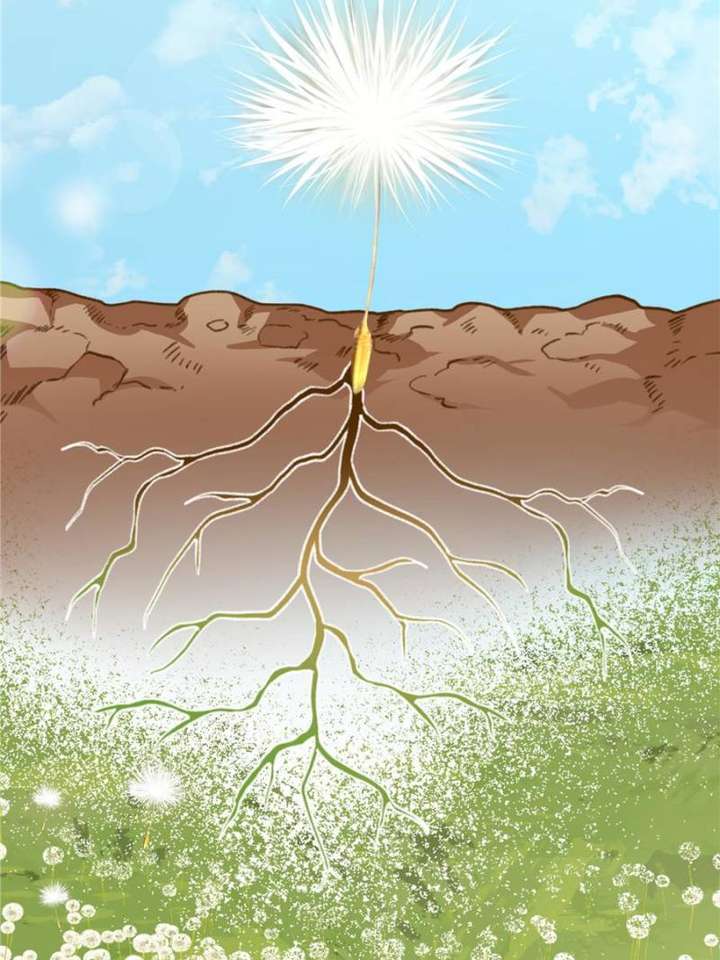 Clumsy Master, You’ve Crossed the Line! Chapter 1 - Page 35