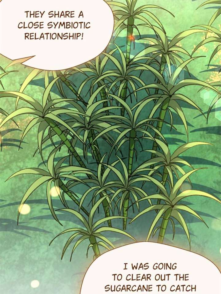 Clumsy Master, You’ve Crossed the Line! Chapter 45 - Page 4