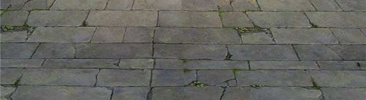 Celebrating the Remaining Life Chapter 2 - Page 75