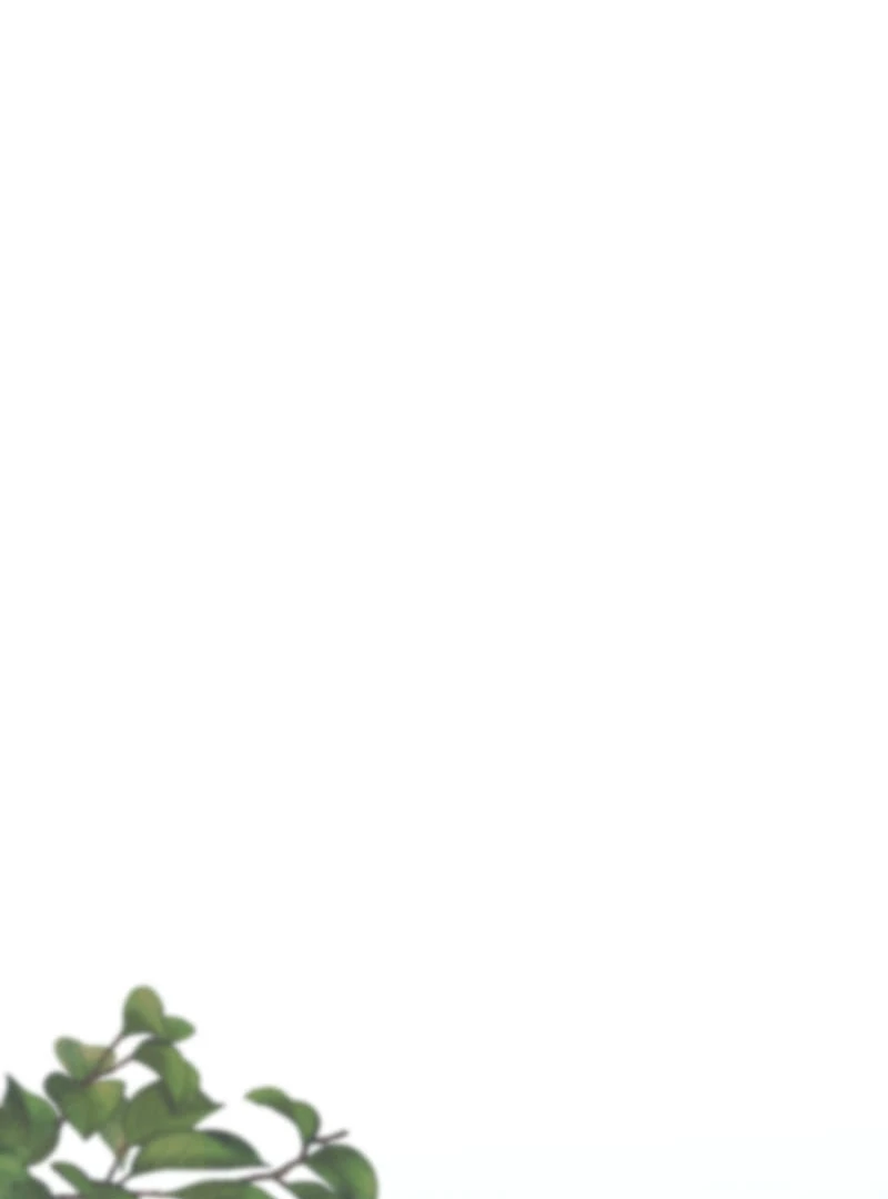 How to be Doted Again by the Cold-Hearted Grand Duke Chapter 10 - Page 53