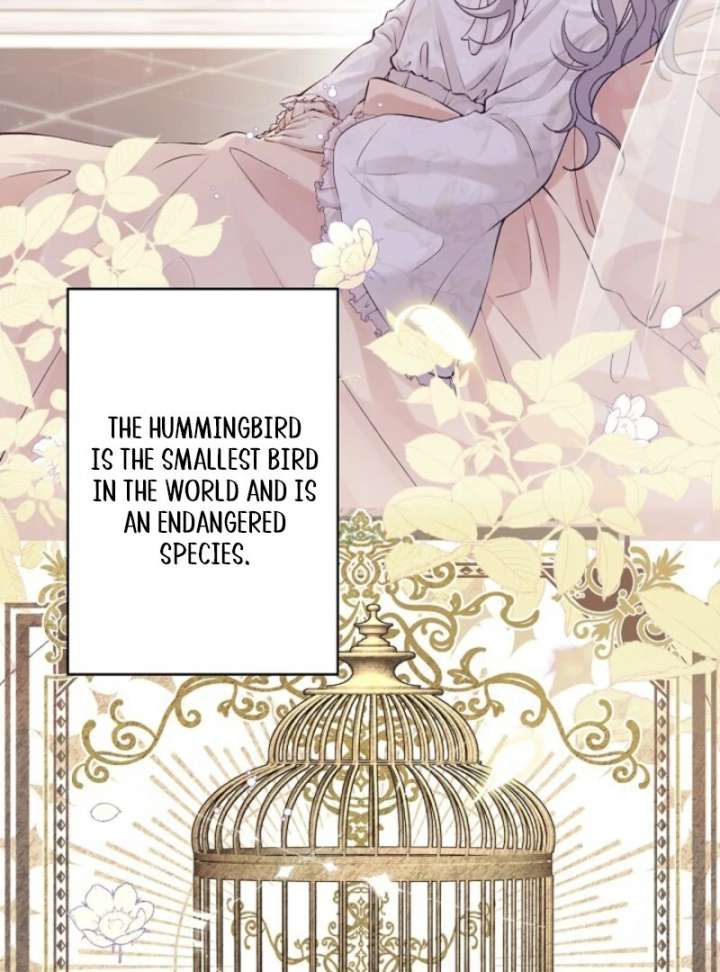 Final Boss’s Daughter Refuses Fate Of Death Chapter 1 - Page 6