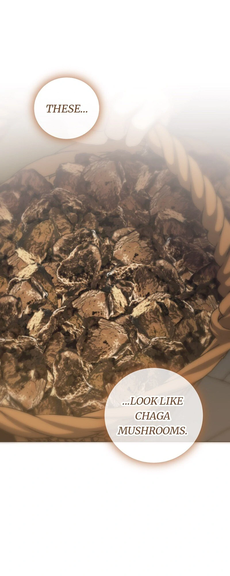 The Grand Duke is Mine Chapter 71 - Page 1