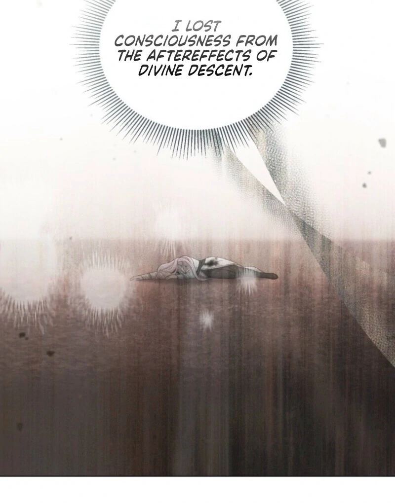 A Transmigrator’s Privilege Chapter 106 - Page 13