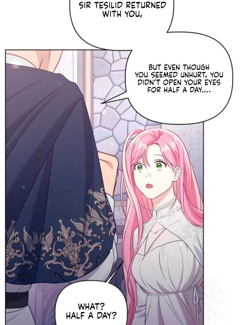 A Transmigrator’s Privilege Chapter 106 - Page 25