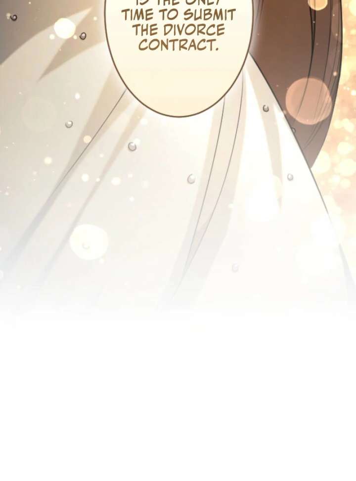 You Promised to Divorce Me After 10 Years, Right Dear? Chapter 25 - Page 22