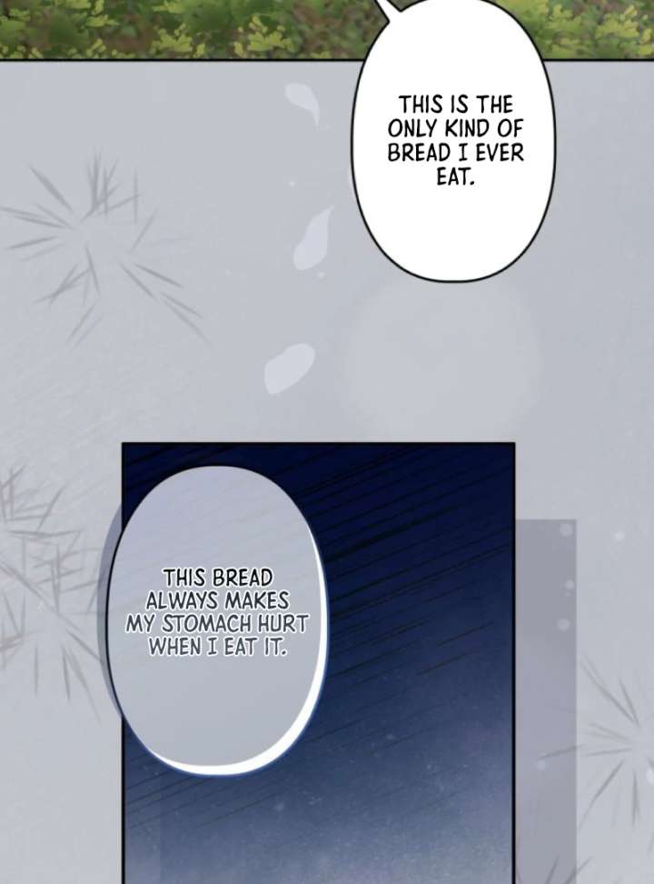 I Ended Up Becoming the Villain’s Personal Chef Chapter 2 - Page 45