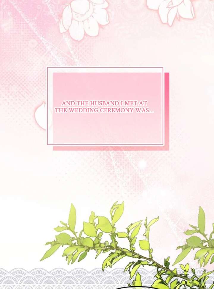 My Husband Possessed the Protagonist Chapter 0 - Page 46