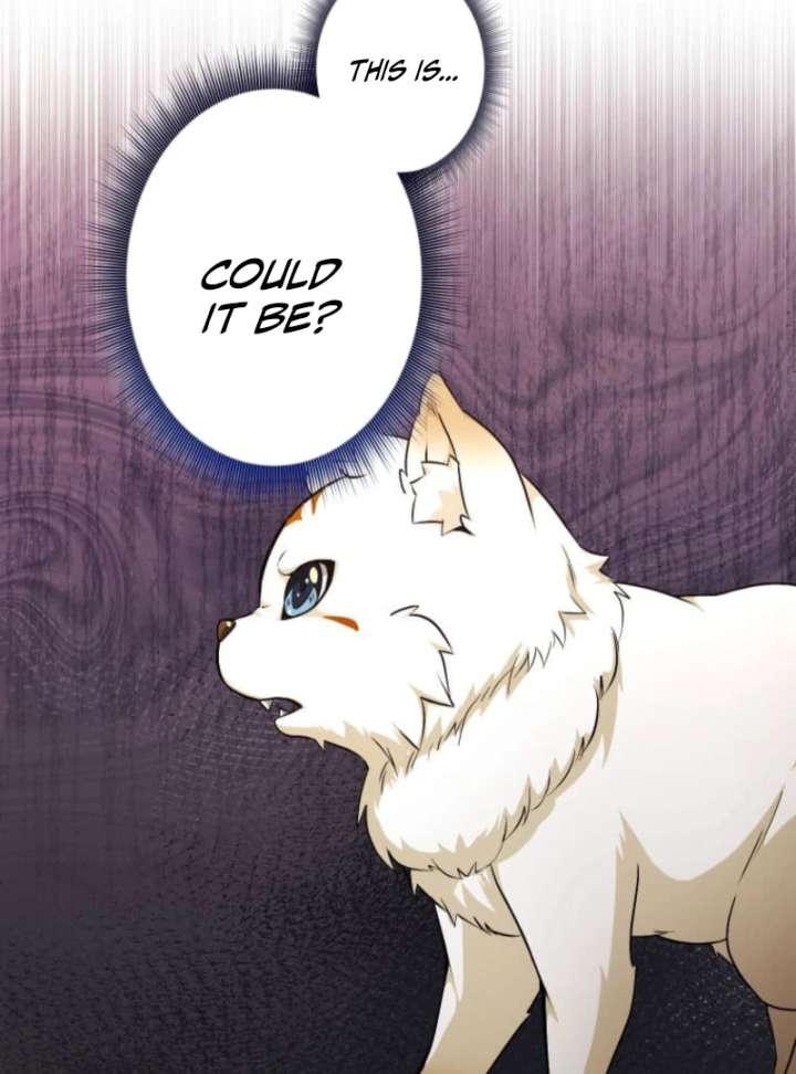 My Swordsmanship Record after Gaining the Power of the Gods Chapter 1 - Page 128