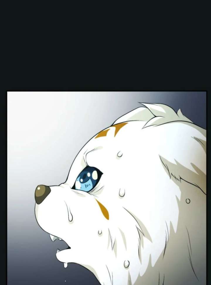 My Swordsmanship Record after Gaining the Power of the Gods Chapter 1 - Page 234