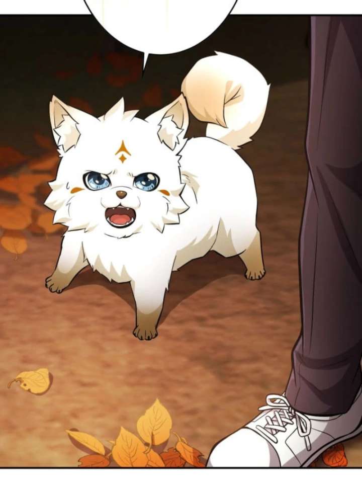 My Swordsmanship Record after Gaining the Power of the Gods Chapter 11 - Page 11