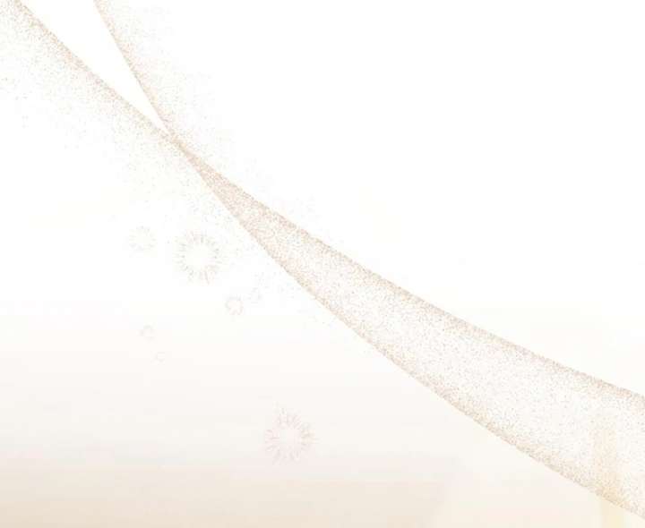 The Obsessed Young Prince Loves the Unlucky Princess Too Much! Chapter 3 - Page 11