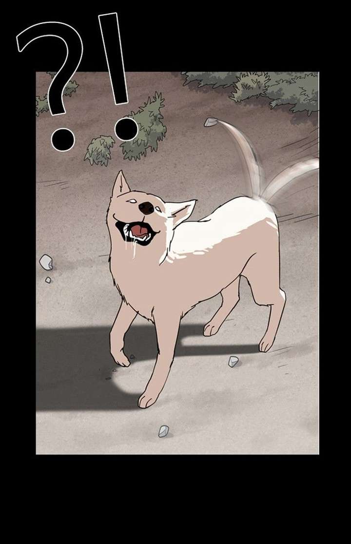 Lookism Chapter 136 - Page 62