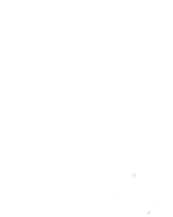 Lookism Chapter 197 - Page 81